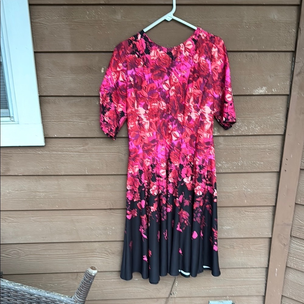 Danny and Nicole floral red/pink/black dress size 16